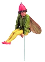 Flower Fairy mit Stab Nachtschatten