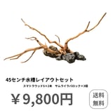 45センチ水槽レイアウトセット