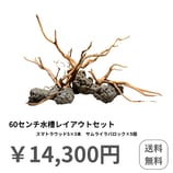 はじめての60センチ用水槽レイアウトセット