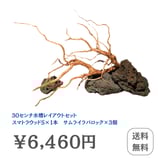 はじめての30センチ用水槽レイアウトセット