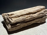 "限定 "プレミアム木化石Lサイズ #3
