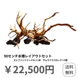 90センチ水槽レイアウトセット