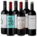 Südamerika Rotwein Probierpaket