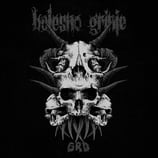 Bolesno Grinje LP "Grd"