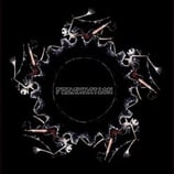 Freaknation 10inch 7 x 3