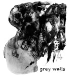 Grey Walls LP Asche