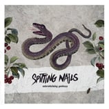 Spitting Nails LP Underwhelming Goodness