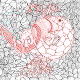 Brivido / Public Disgrace LP Split