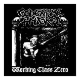 Codename:Hydra 12" S/T