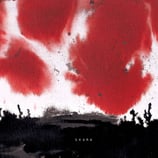 Skara LP We slave our days