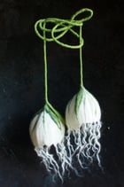 Doppelblüten (Weiß mit Locken)