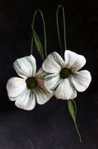 Doppelblüten (Weiß)