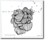 Spaceman Spiff - "und im fenster ..." (LP/Vinyl) (Mängelexemplar)