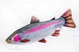 Gaby "The Arctic Rainbow Trout Pillow" / Die Regenbogenforelle 62cm - Plüschtier / Dekorations-Kissen