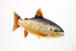 Gaby "The Brown Trout Pillow" / Die Bachforelle 62cm - Plüschtier / Dekorations-Kissen