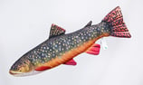 Gaby "The Mini Brook Trout Pillow" / Der Bachsaibling 35cm - Plüschtier / Dekorations-Kissen