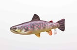 Gaby "The Mini Brown Trout Pillow" / Die Bachforelle 35cm - Plüschtier / Dekorations-Kissen
