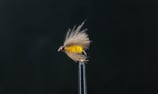 Stucki Thun Fly CDC STD Yellow Fliege - Trockenfliege