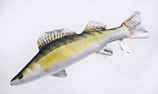 Gaby "The Small Zander / Walleye Pillow" / Der Zander 50cm - Plüschtier / Dekorations-Kissen