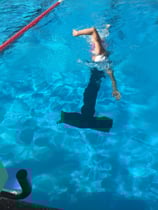 Kraulkurs Anfänger- Juni 2026