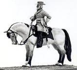 ACW C-63 General Robert E. Lee