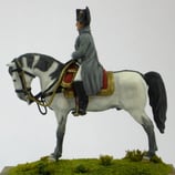 NAP C-110 Napoleon on mount