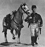 ACW 3052 Walking with Horse