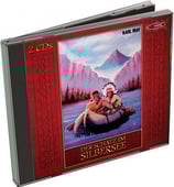 Der Schatz im Silbersee