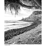 LENNOX POINT TEE - White