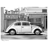 LOVE BUG TEE - White