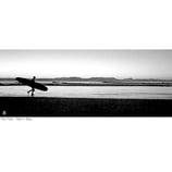 SILHOUETTE SURFER TEE - White