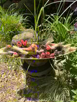 Oranger Keramik Vogel in Schale