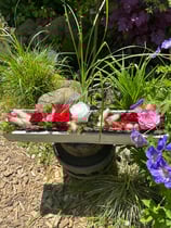 Gefriergetrocknete Rosen in Holzschale