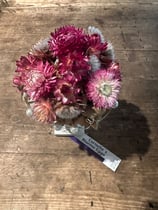 Rosarote Verführung