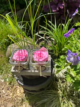 Holz mit Glasfüllung