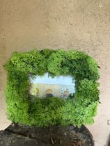 Bilderrahmen mit Islandmos