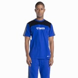 PADDOCK BLUE-JOGGINGHOSE HERREN