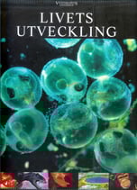 Livets utveckling, Chefredaktör - Lotte Juul Nielsen