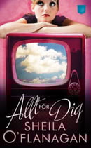 Allt för dig av Sheila O´Flanagan