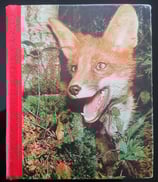 Die schönsten Tiergeschichten der Welt - Band 1