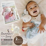 赤ちゃんの知育ぬいぐるみとうさぎのラトル2点ギフトセット