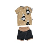 Set Hose/Shirt Gr. 56 (01)