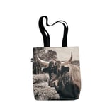 Shopper geschlossen (01)