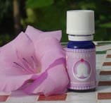 Transcendance, 7. Kronenchakra