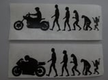 Evolution