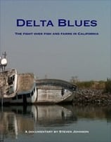 Delta Blues