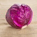 Rotkohl Stk