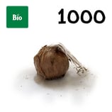 1000 bolbos bio calibre 11+
