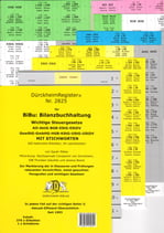 BiBu 2825: Bilanzbuchhaltung-Wichtige STEUERGESETZE mit Stichworten für die AO-UStDV