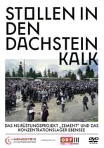 Stollen in den Dachsteinkalk